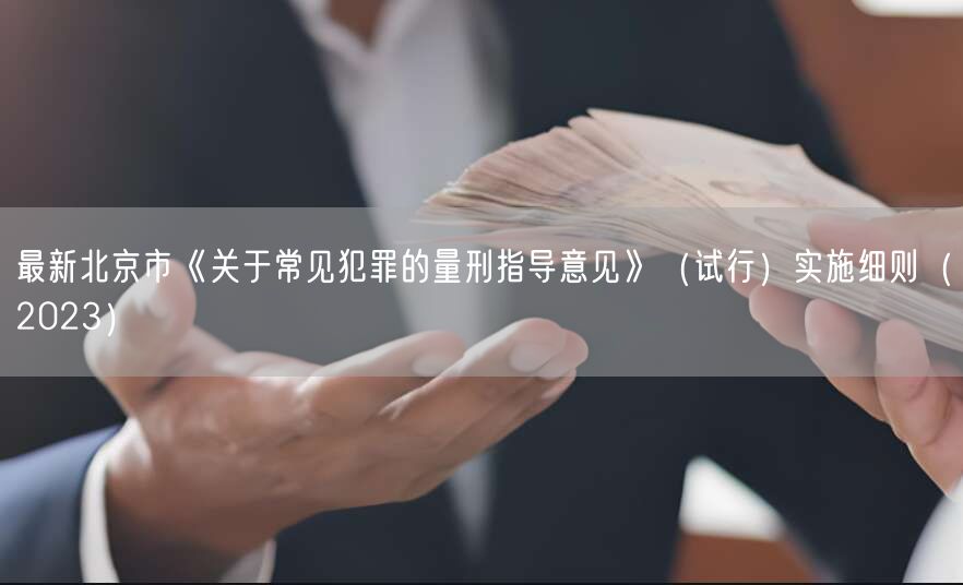 最新北京市《关于常见犯罪的量刑指导意见》(试行)实施细则(2023)(图1)