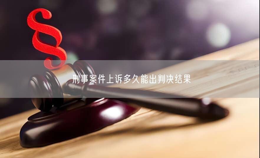 刑事案件上诉多久能出判决结果